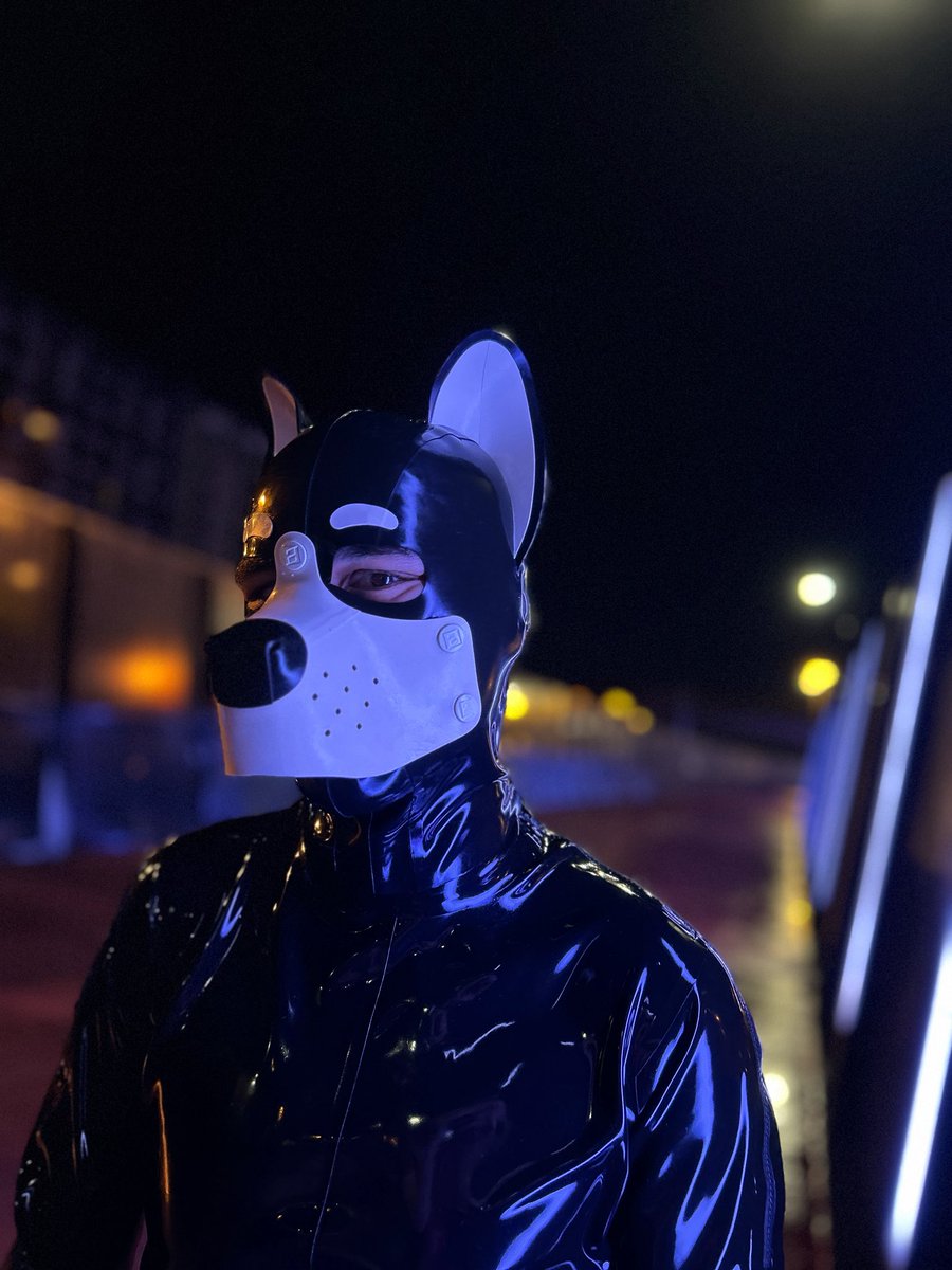 Pup Chucky tweet media