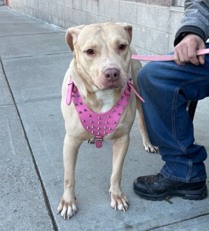 Not the Same tweet media