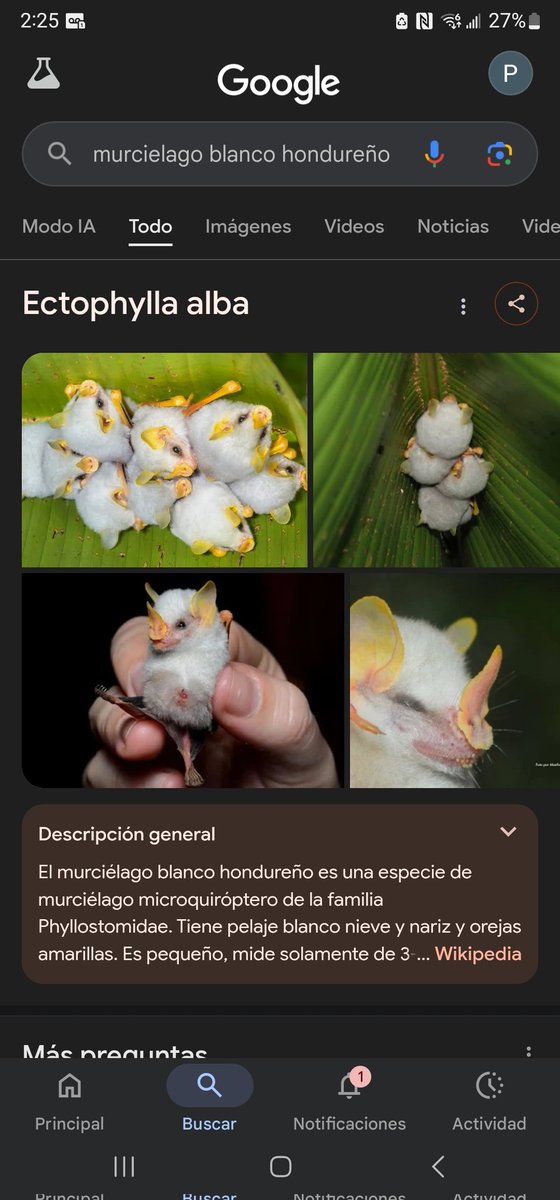 COMIC FEIL tweet media