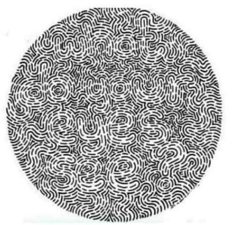 Honey 🛼 tweet media