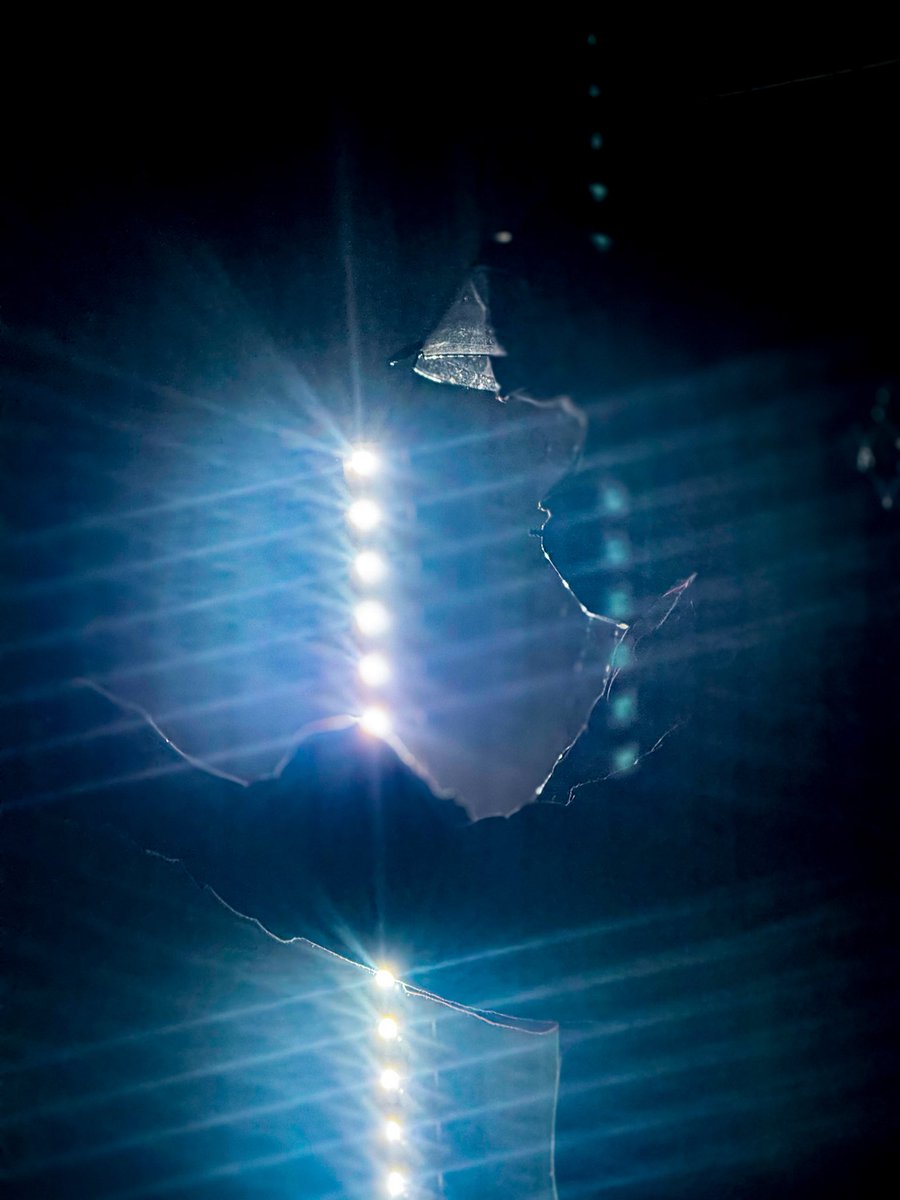 Matthew Dillner tweet media