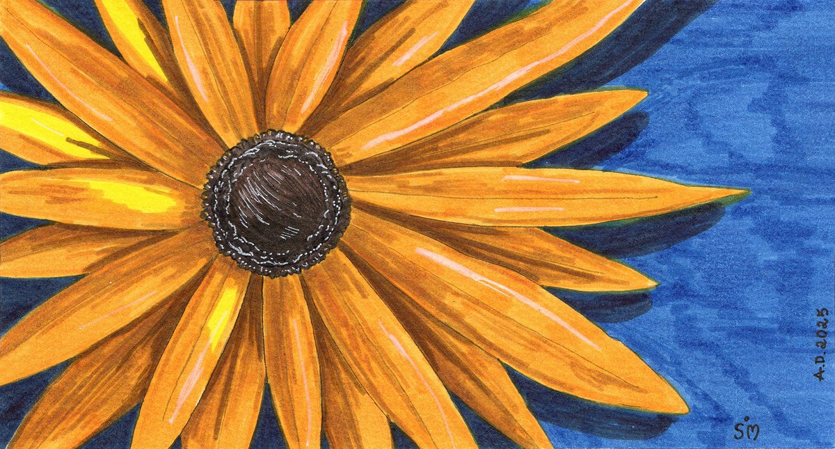 Virivishu's tweet photo. #art #traditionalart #flowers #flowersart #illustration #markersdrawing https://t.co/D1aVTYo6UD