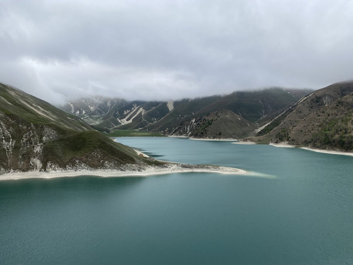 Это же Сашхен! 🌙 tweet media