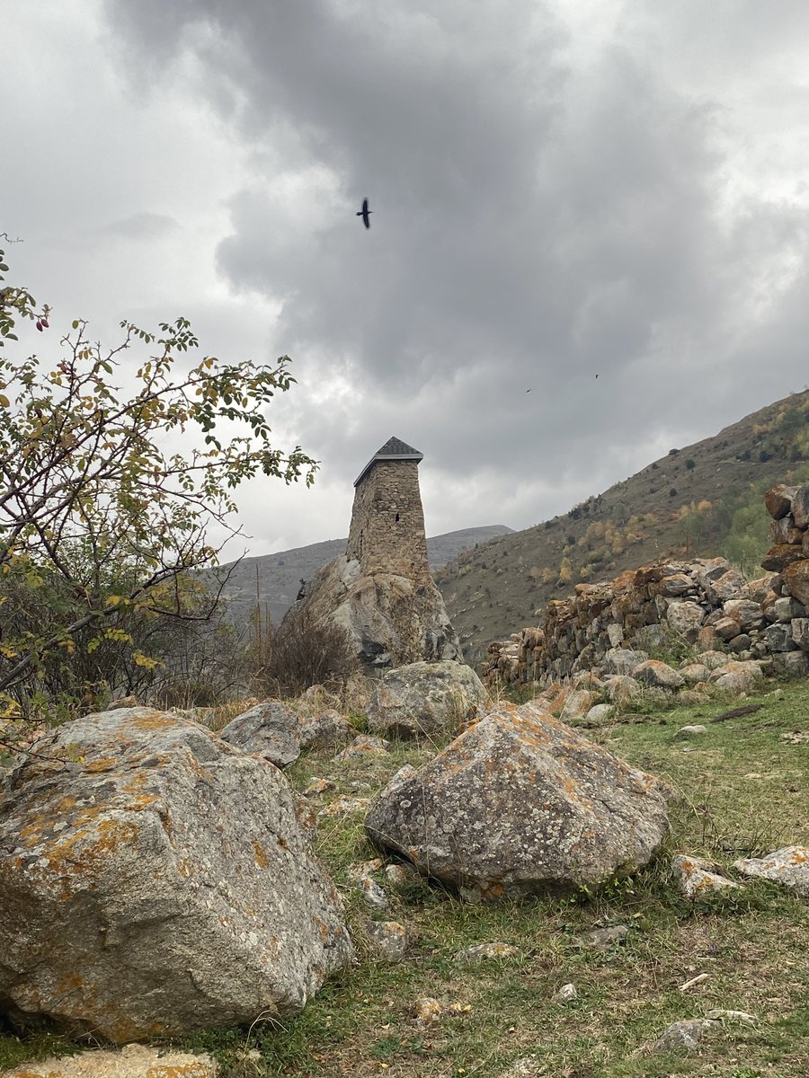 Это же Сашхен! 🌙 tweet media