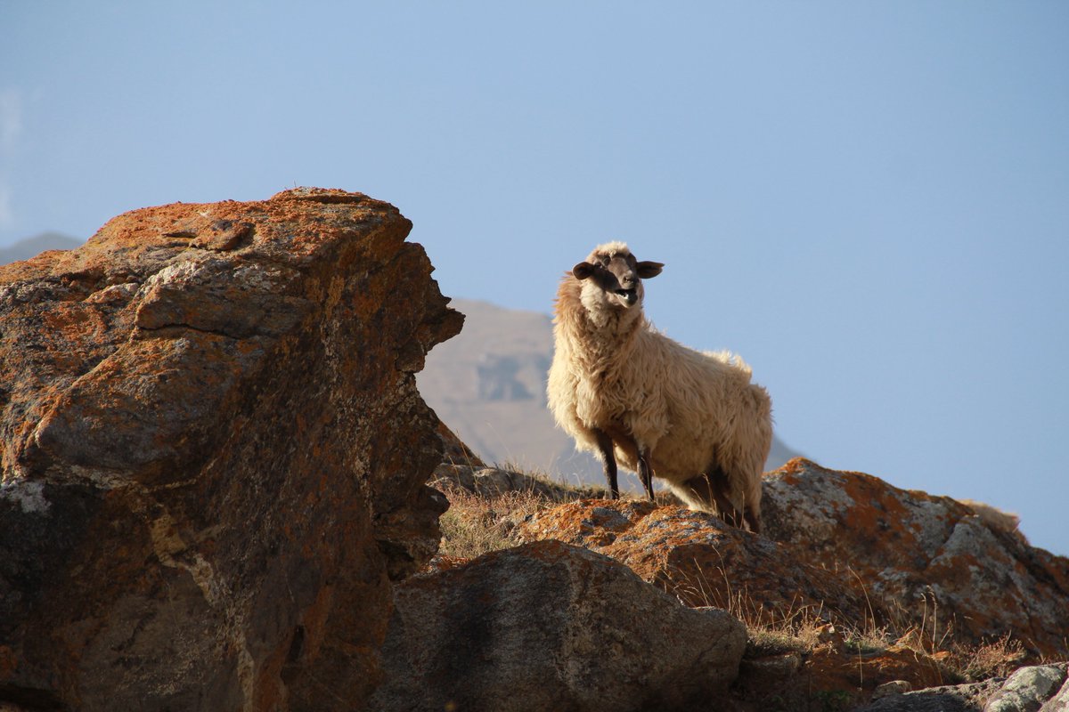 Это же Сашхен! 🌙 tweet media