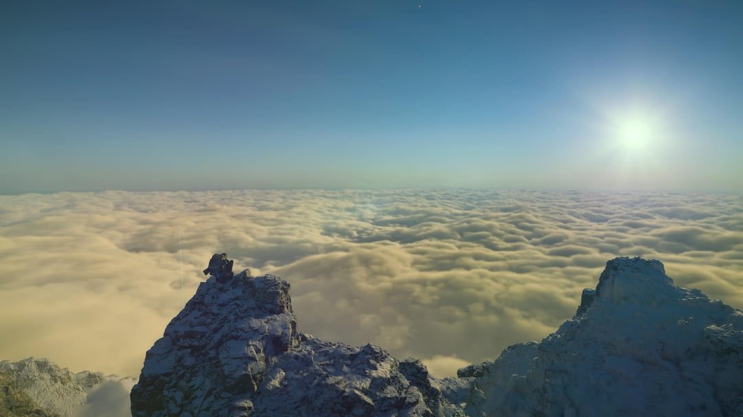 Big Boss tweet media