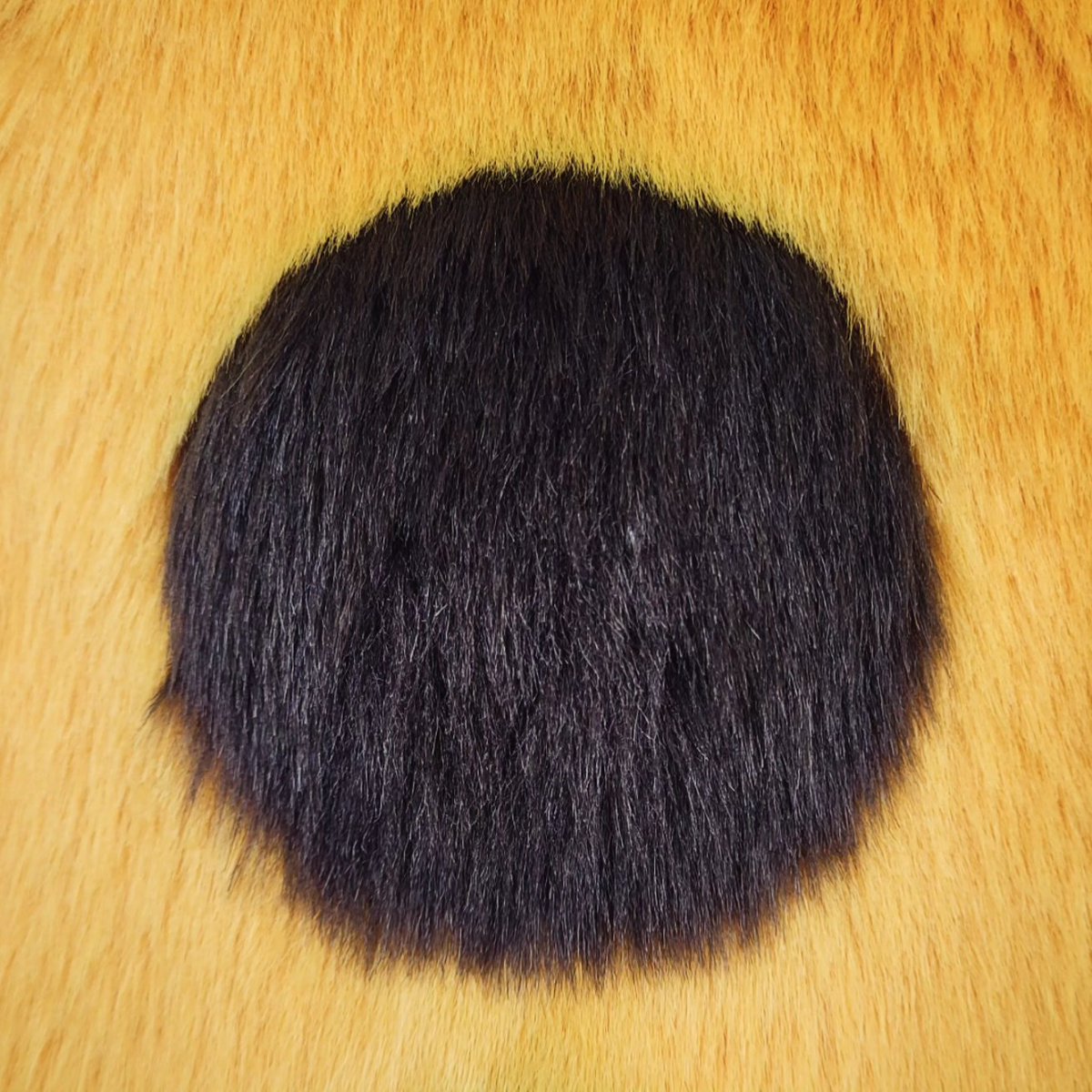 Selkie Suits tweet media