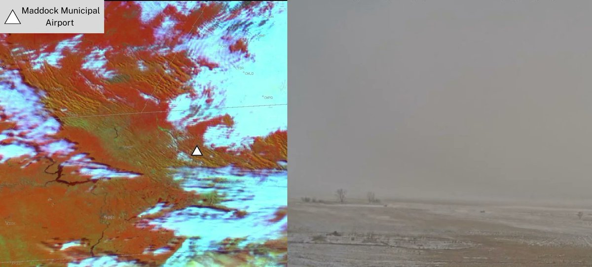 The GLOBE Program tweet media