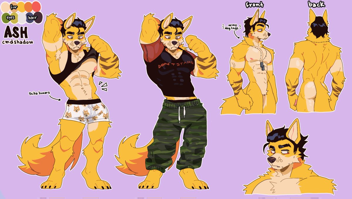 CmdShadow1 tweet media