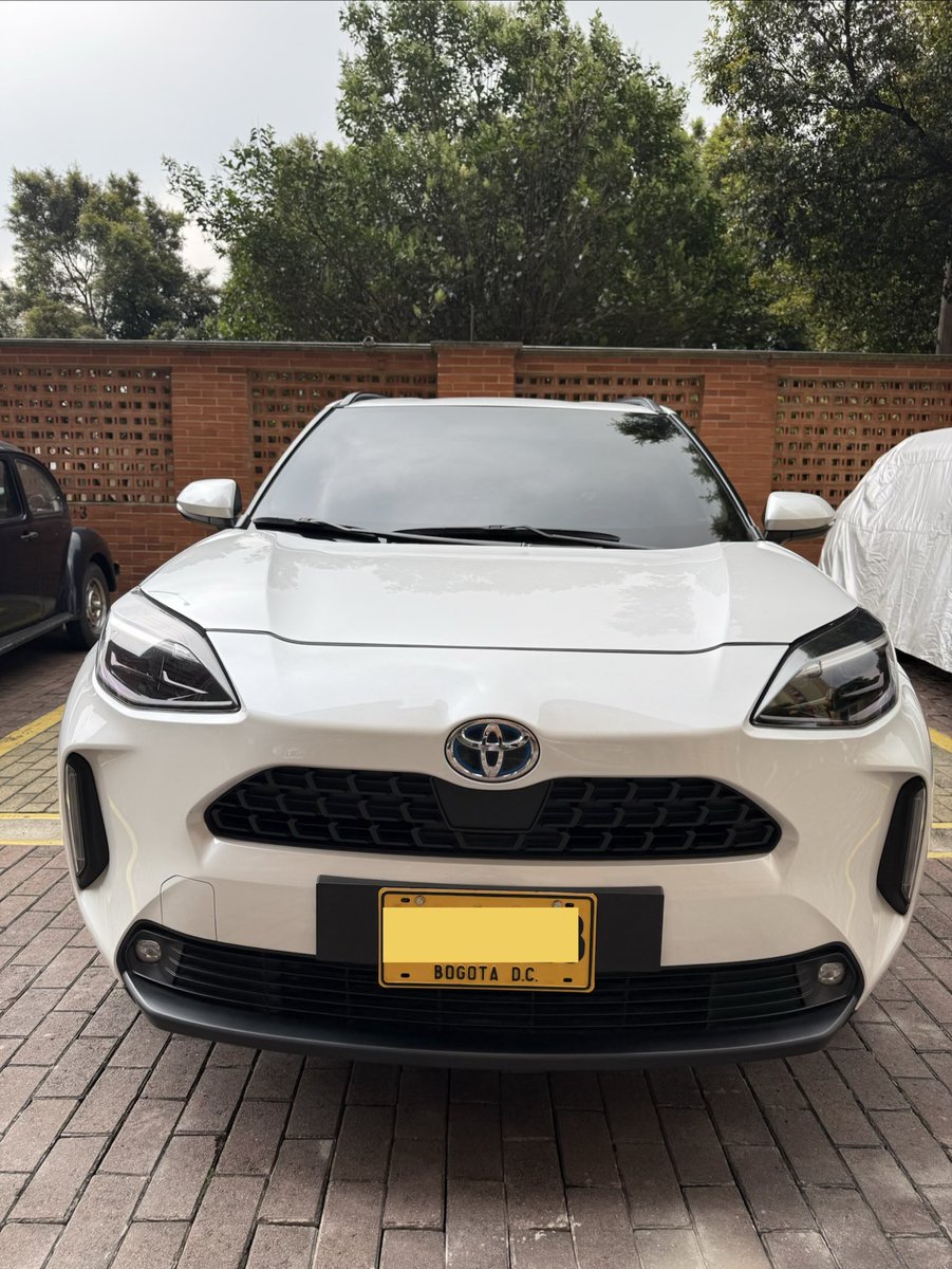 Nati super CAMPEONA⭐️10 tweet media