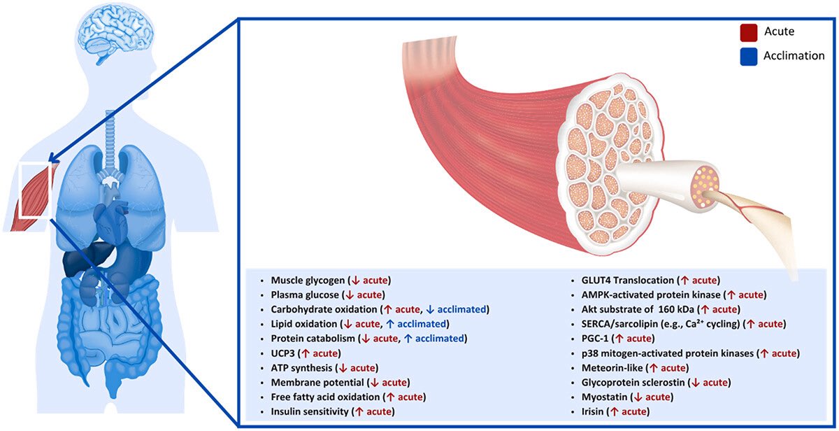 Christoph Burch tweet media
