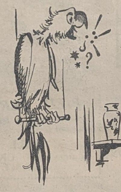 Birmingham Archives & Collections tweet media