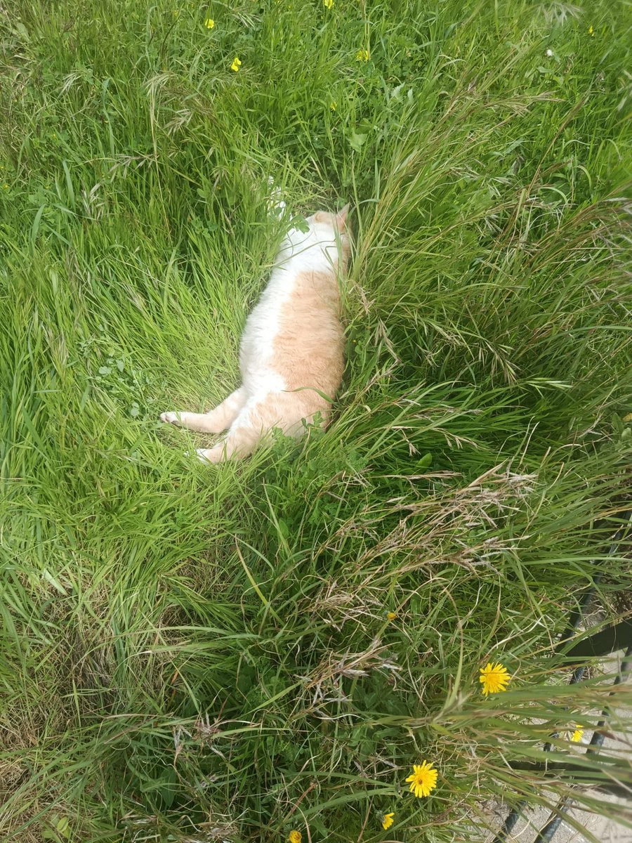 Tere 🪐 tweet media