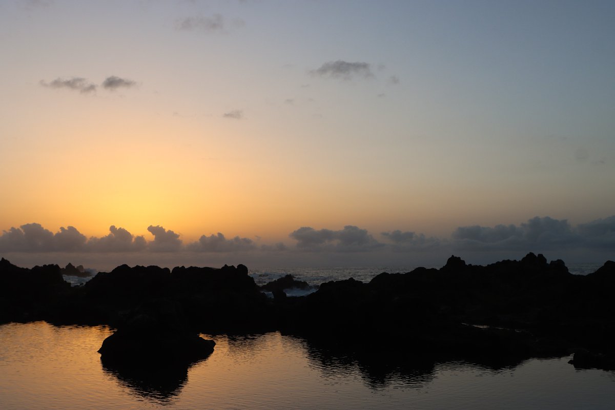 RITO PÉREZ GARCÍA tweet media