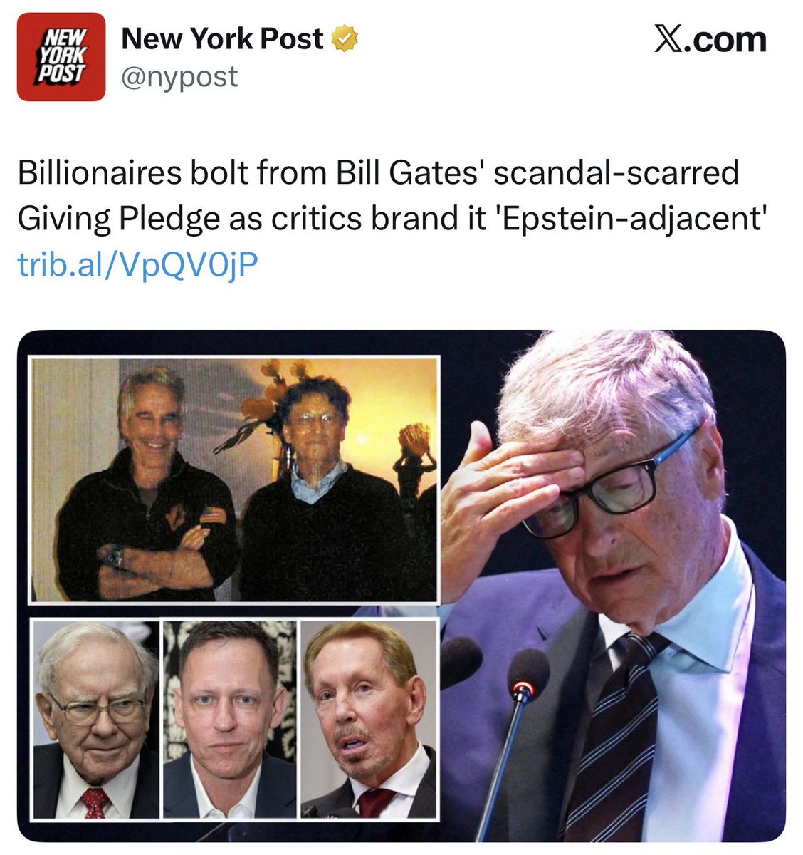 Gain of Fauci tweet media