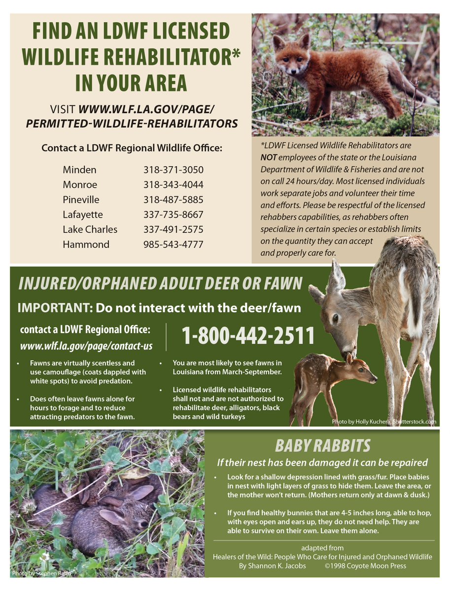 LaWildlife&Fisheries tweet media