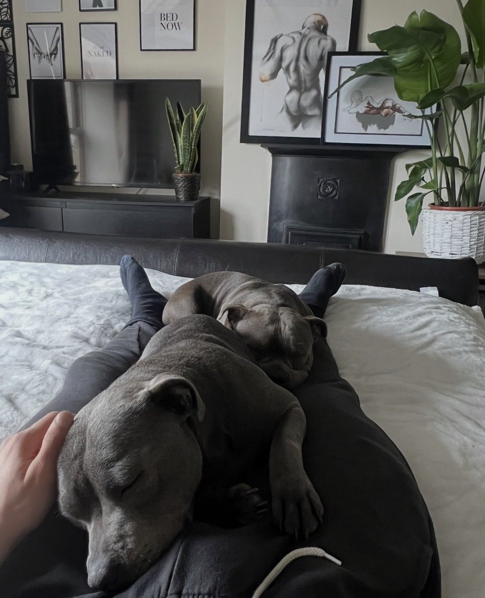 Bitcoin Sovryn tweet media