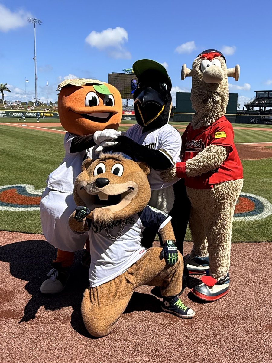 Rome Emperors tweet media