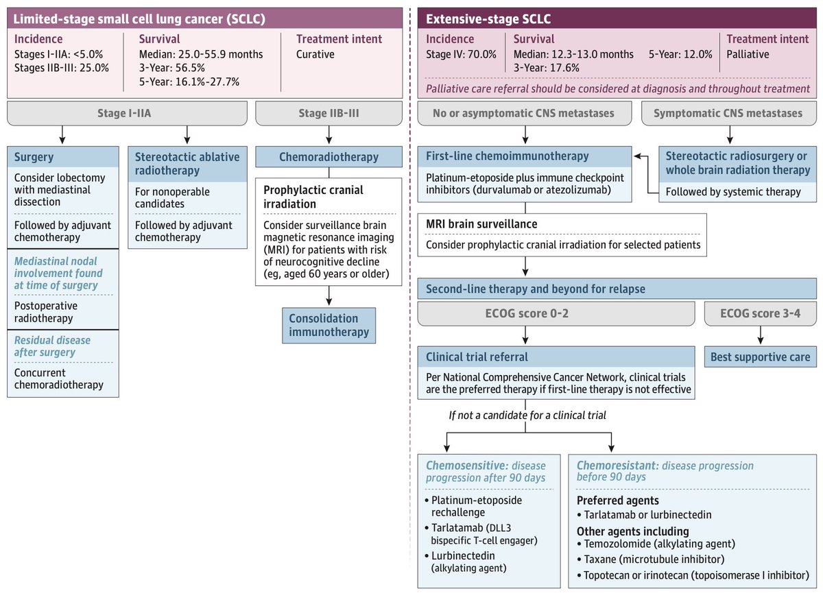 Diego A. Díaz-García tweet media