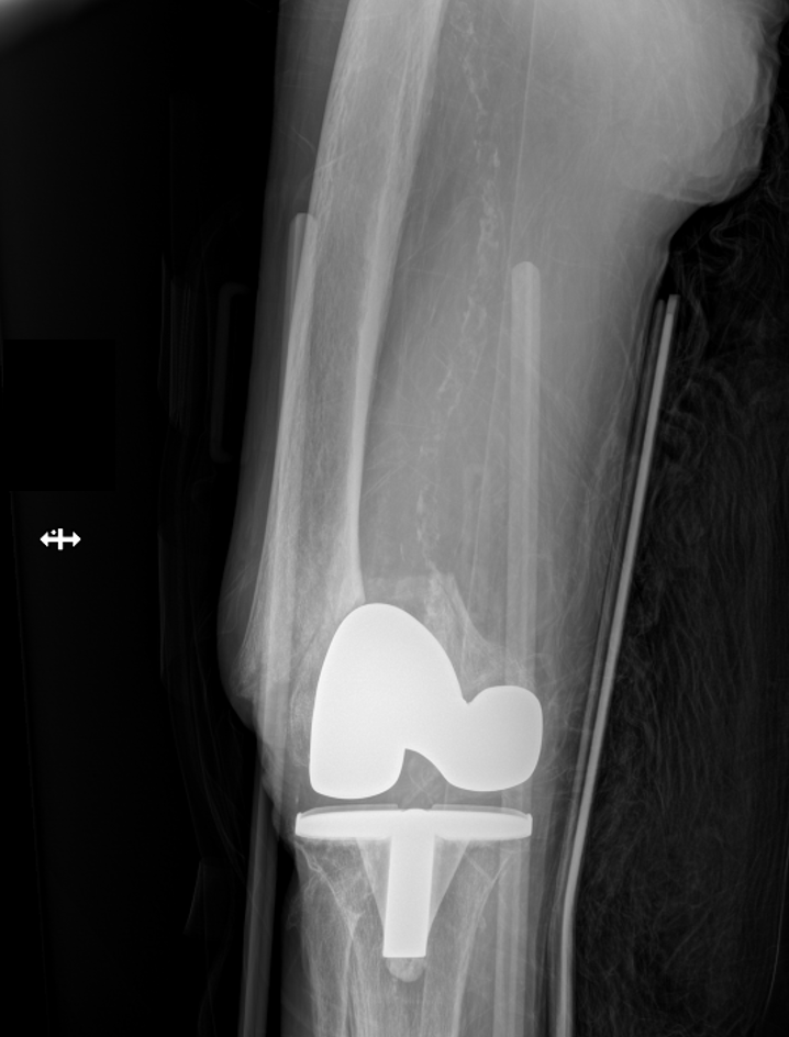 Jan Szatkowski tweet media