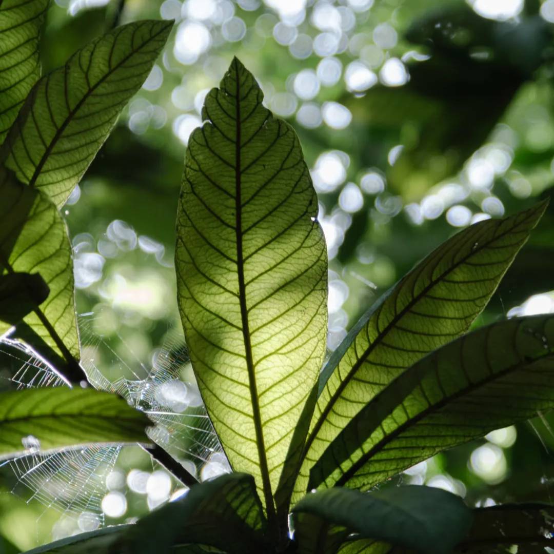 Zhejiang University tweet media