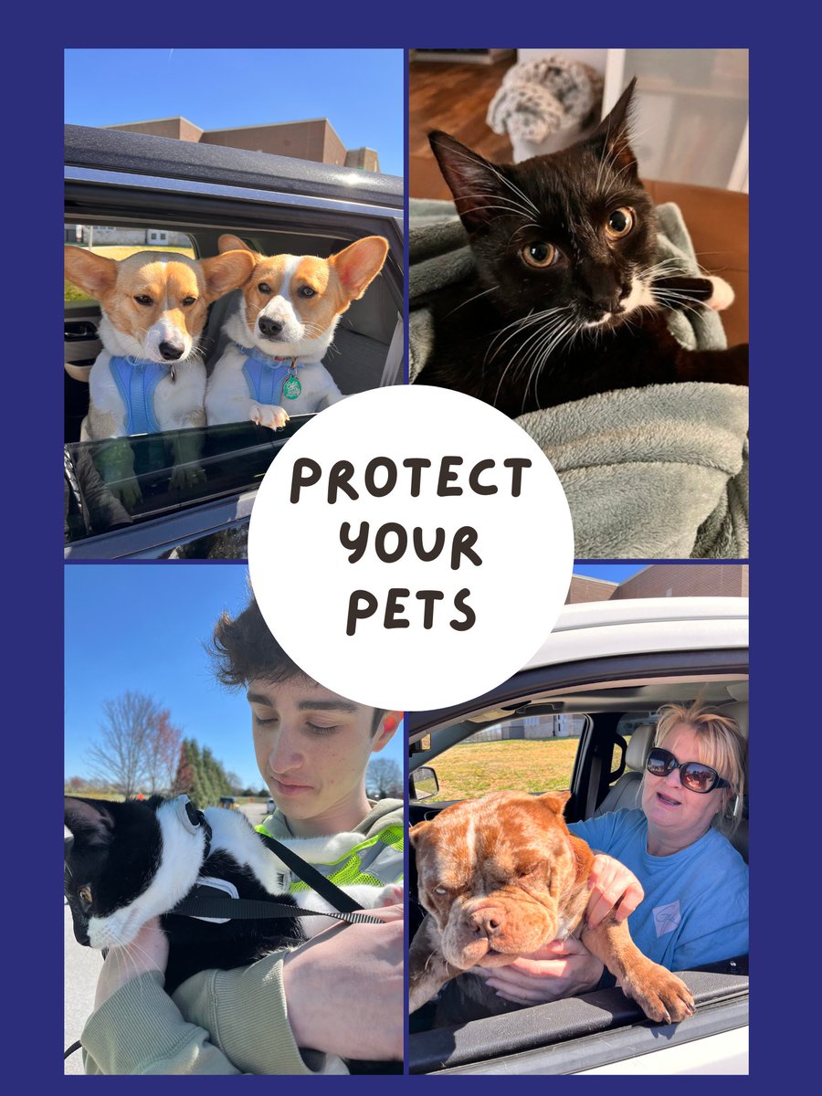 Bowling Green KY tweet media