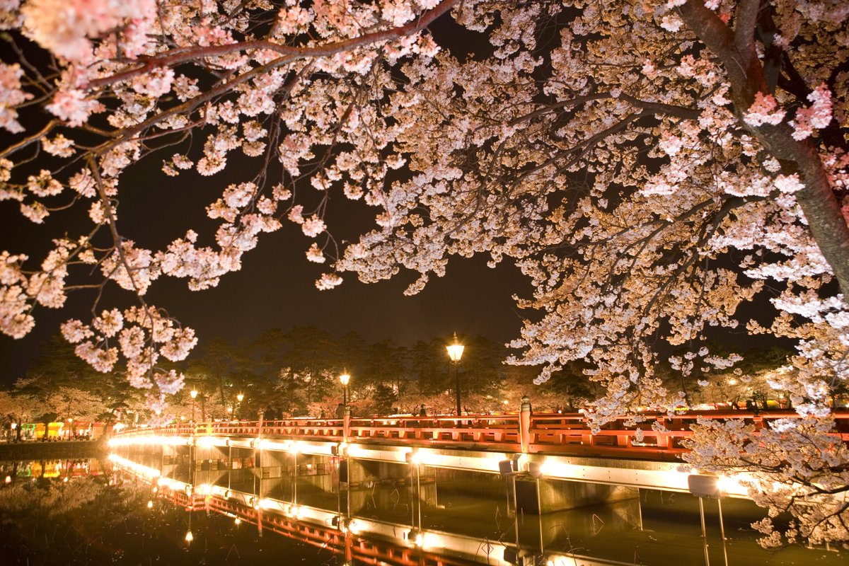 新潟県観光協会【公式】 tweet media