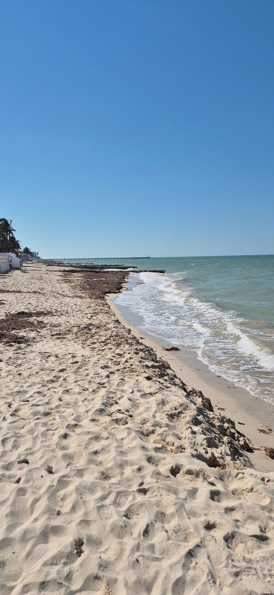 Kilian_Alberto's tweet photo. Presidenta @Claudiashein no olvide estas playas que tambien fueron invadidas por extranjeros con estas estructuras que dañan el ecosistema en progreso yucatan cerca de chuburna! Los mexicanos estamos artos de personas que se creen dueños de todo! https://t.co/WwBODMnjcd