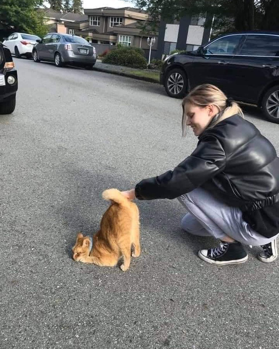 PunchingCat's tweet photo. https://t.co/wLJKd8zVEl