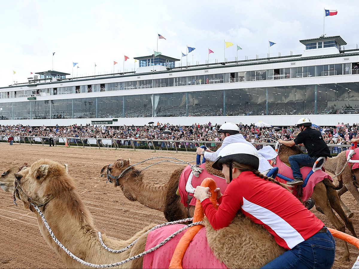Sam Houston Race Park tweet media
