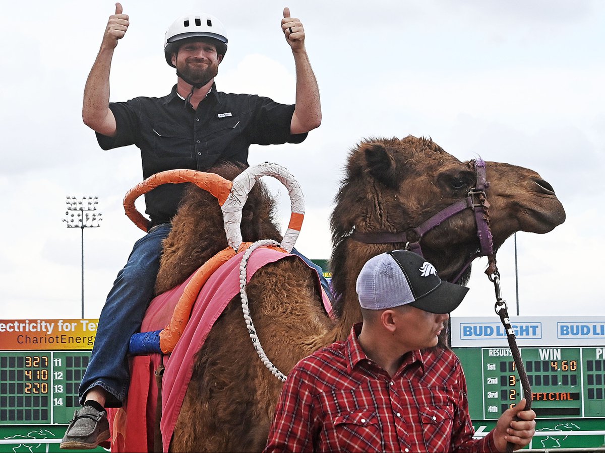 Sam Houston Race Park tweet media