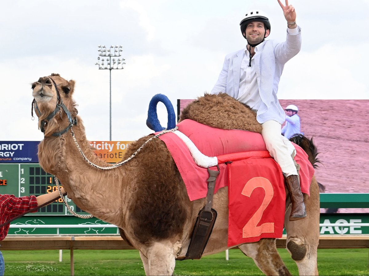 Sam Houston Race Park tweet media
