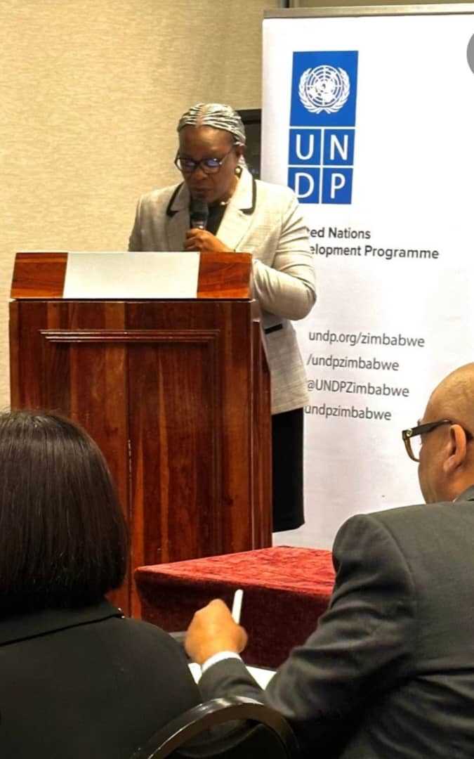 zimbabwewriter's tweet image. Zimbabwe launches phase 2 of Tax Inspectors Without Borders with UNDP, OECD, ZIMRA &amp;amp; SARS to strengthen tax crime investigations and curb illicit financial flows.

Read more: zimbabwenow.co.zw/articles/21823…

#Zimbabwe #TaxCompliance #TIWB #PublicFinance