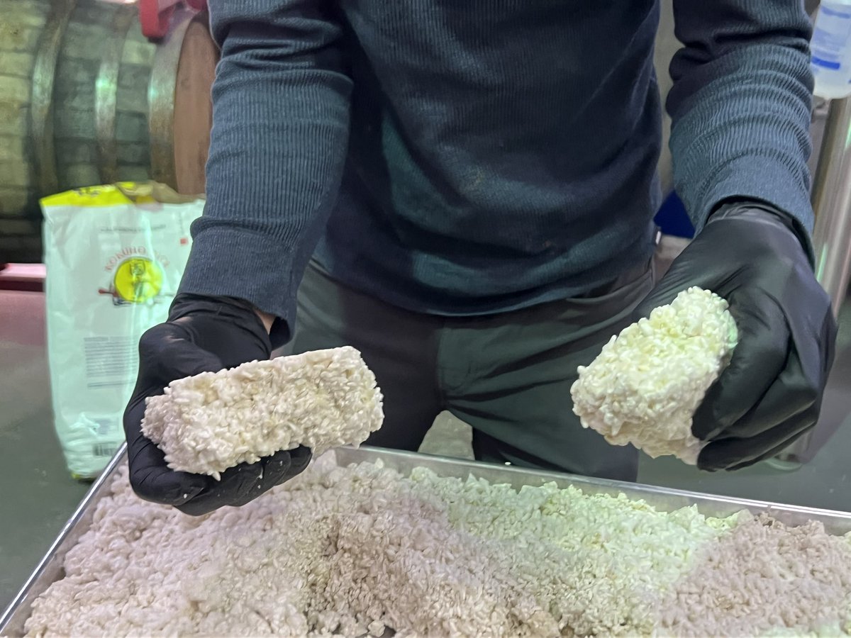 Off Color Brewing tweet media