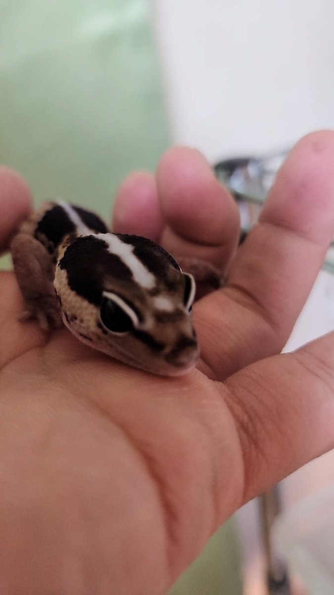 株式会社アクロクレイン│北海道を代表する企業100選 tweet media