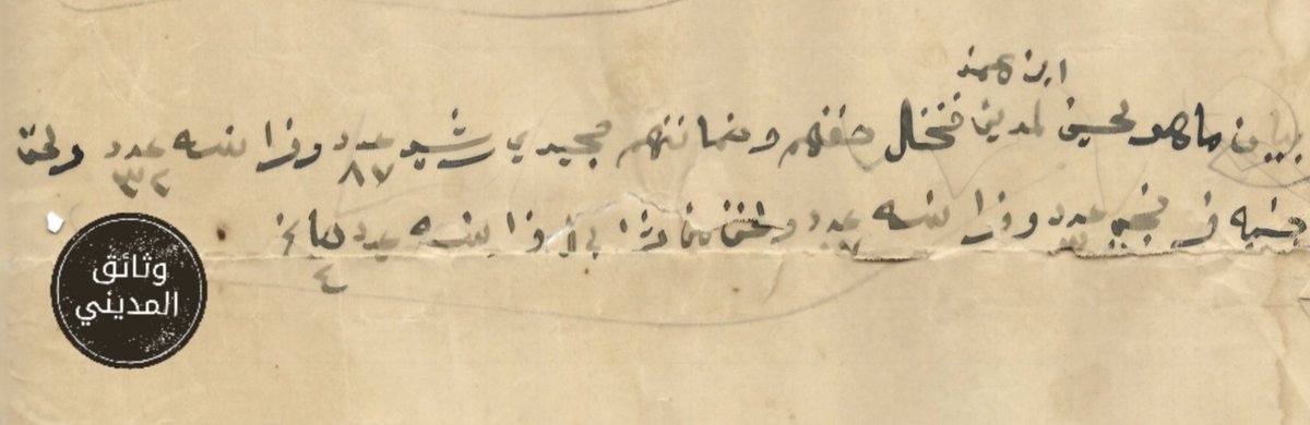 عبدالرحمن المديني tweet media