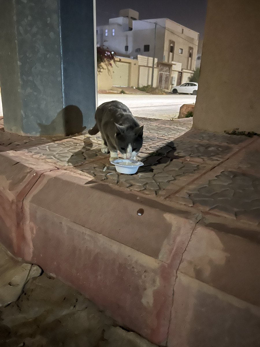 مبروكه كبرت