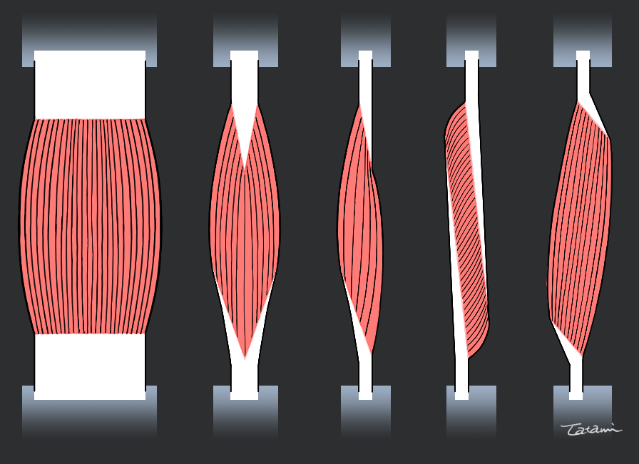 畳@atelier Loop tweet media