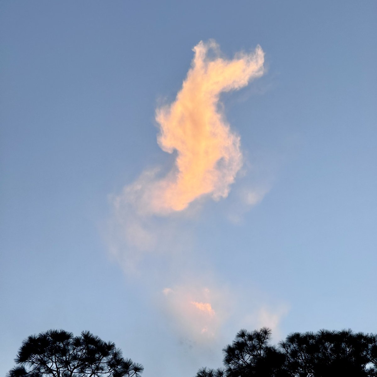 Ryan Duff tweet media