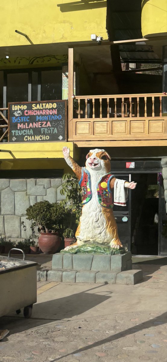 ChicofromMidtown tweet media