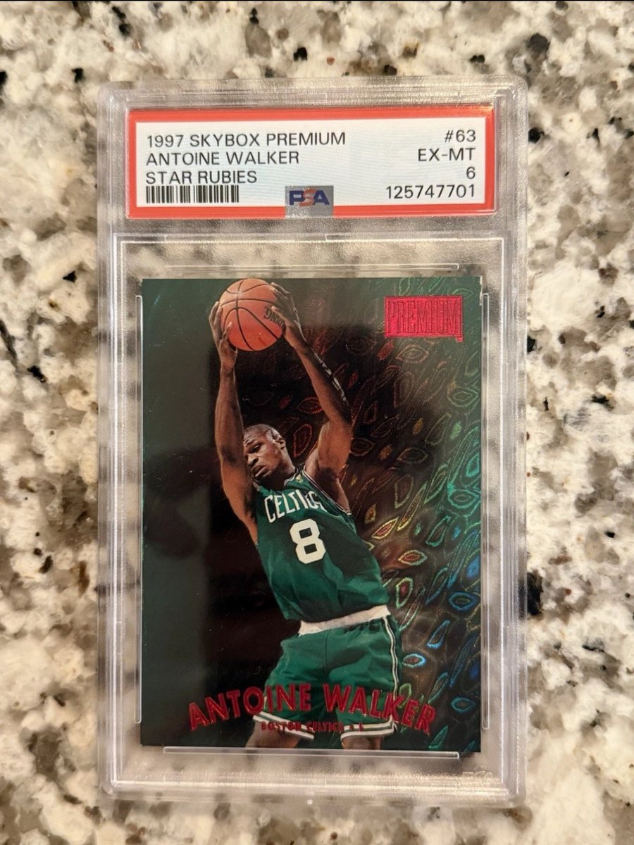 Oddball Sports tweet media