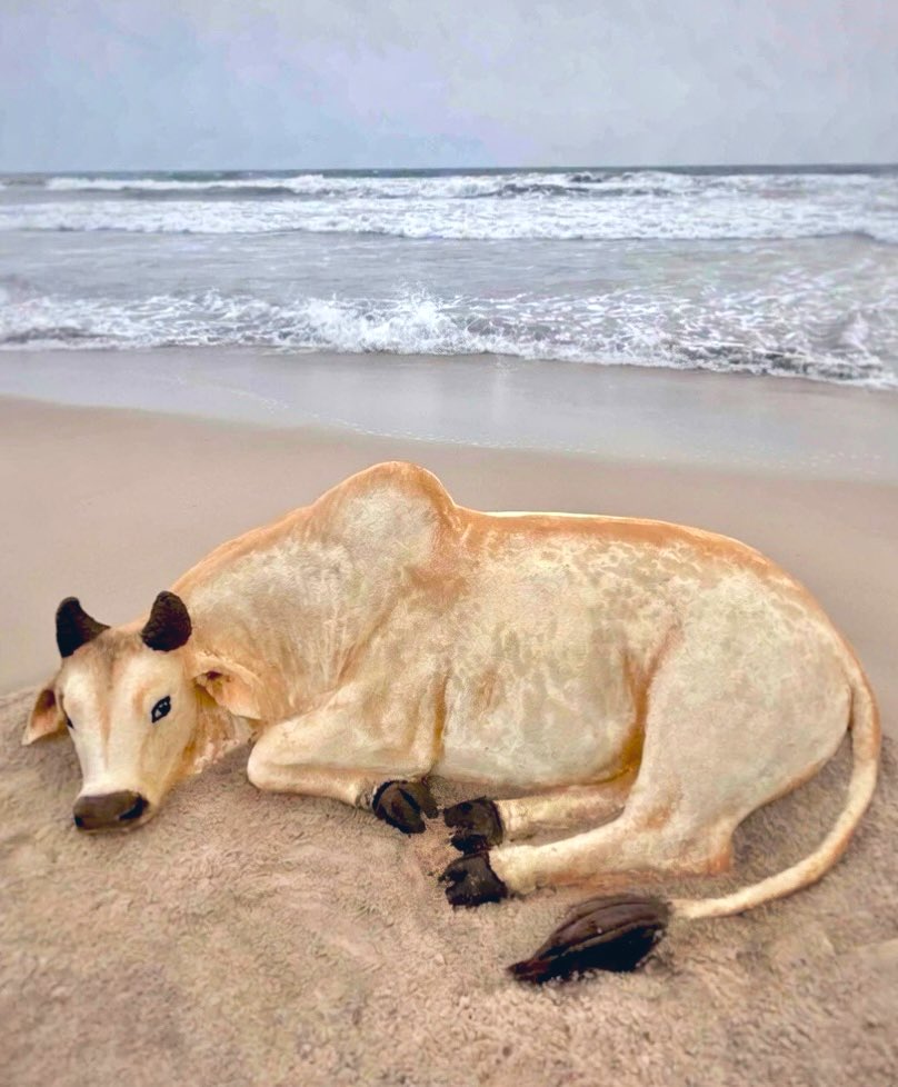 Sudarsan Pattnaik tweet media