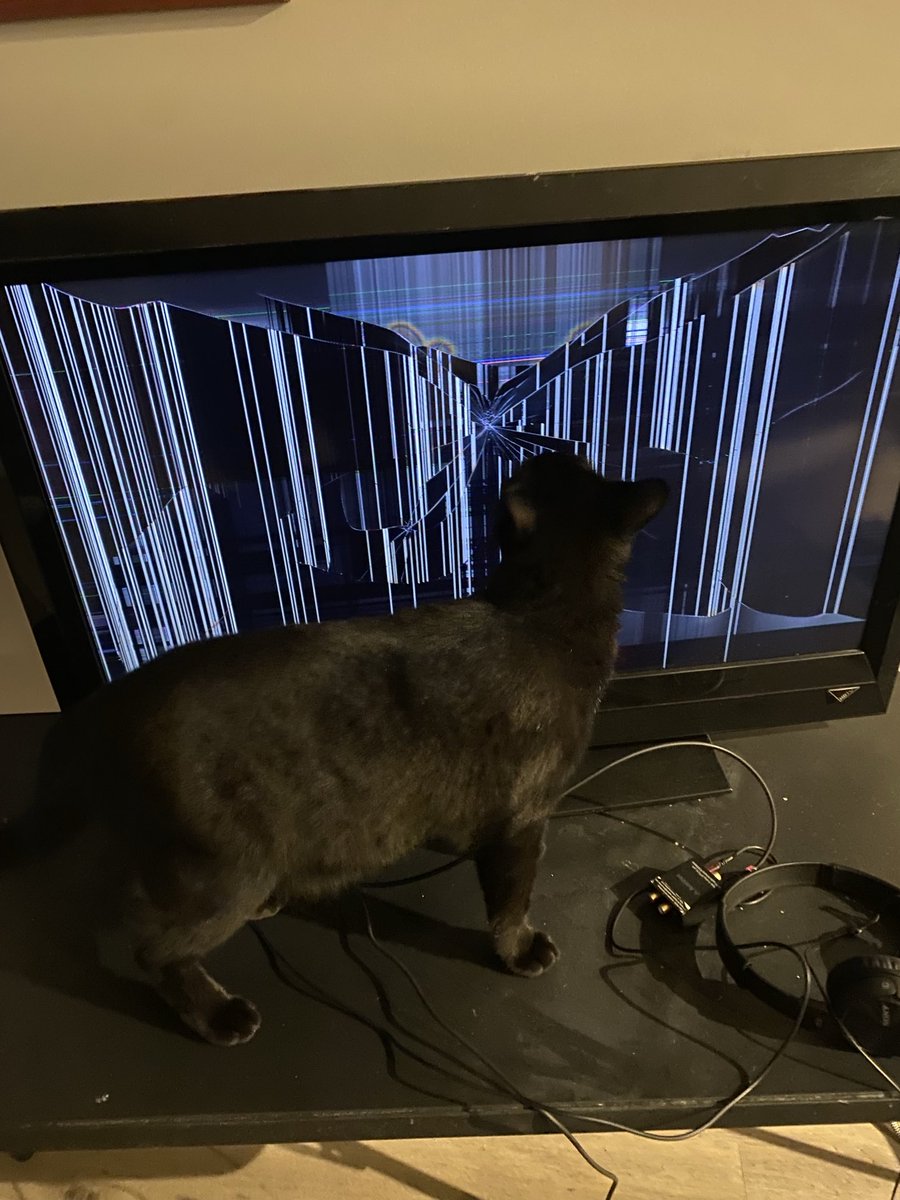 Frank Conniff tweet media