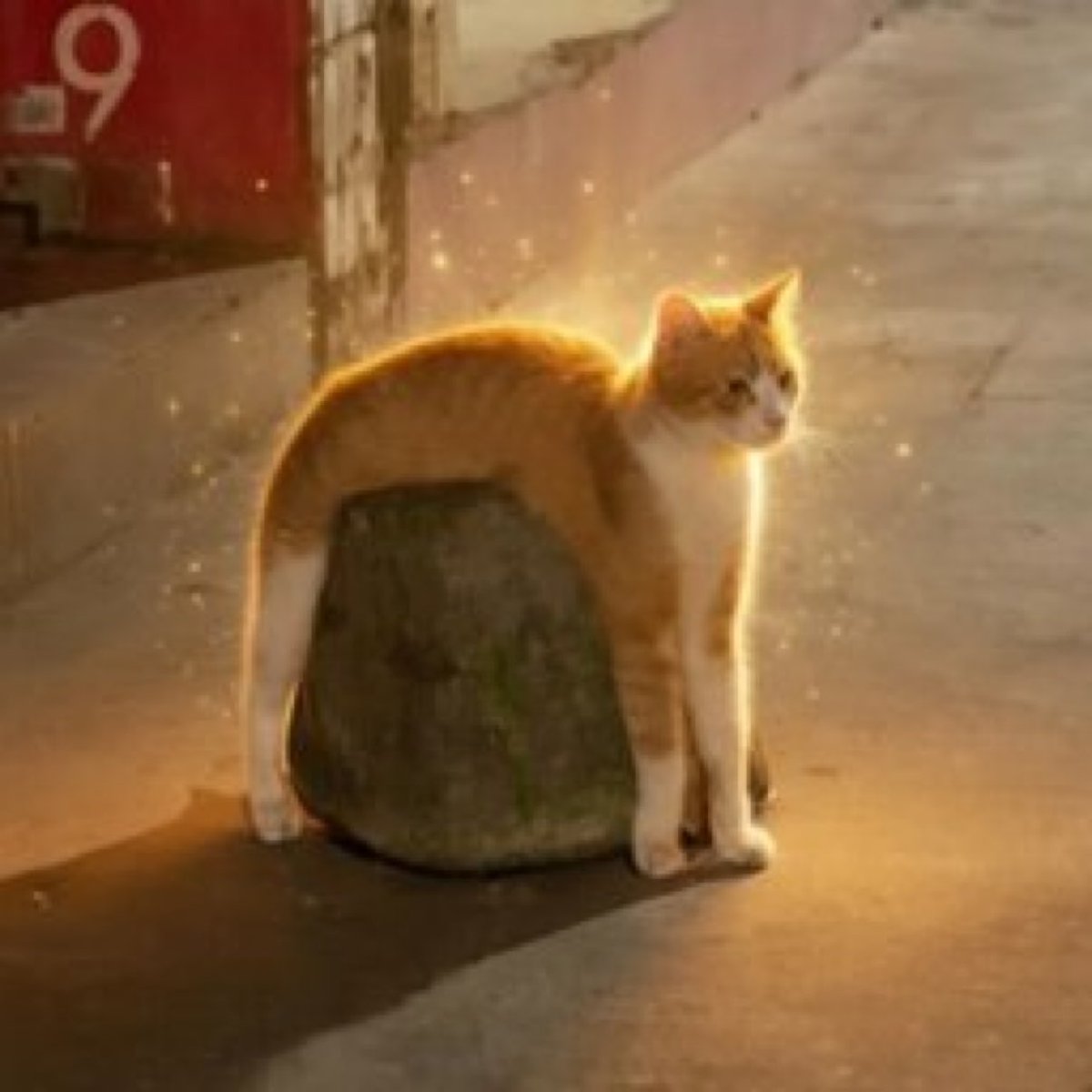 higherplzz tweet media