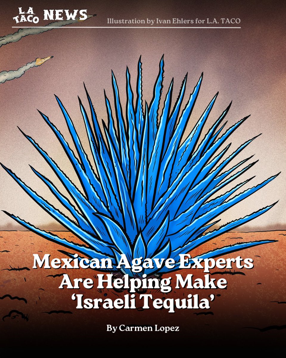 L.A. TACO🌴🌮 tweet media