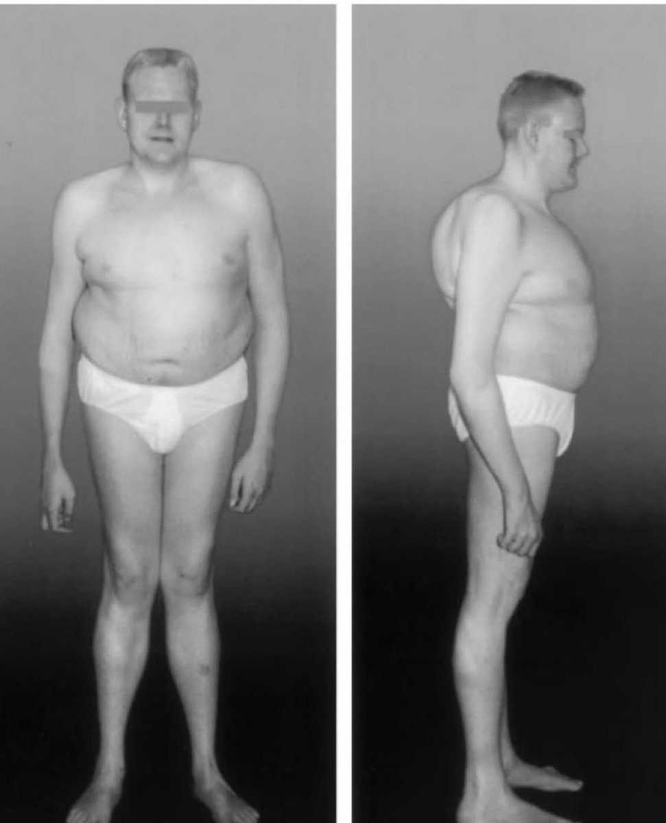 AA ⚡️ tweet media