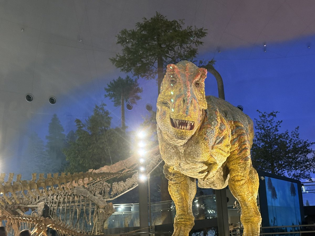 maamiomao's tweet photo. 実は今，ま⭐︎と2人で福井にいて、昨日恐竜博物館🦕🦖行ってきたんだけど、泊まった宿なんか記憶にあるなぁと思ったら、13、4年前にロボットのぞみくんを見にきたホテルだった！懐かしいー！！
もう、あの劇場？は使われてなさそう。
そして，部屋がめちゃ広くてびっくりした。 https://t.co/yRxvIi3Nf4
