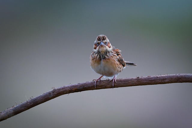 SHOJI-勝者のマインド @SK4463 tweet media