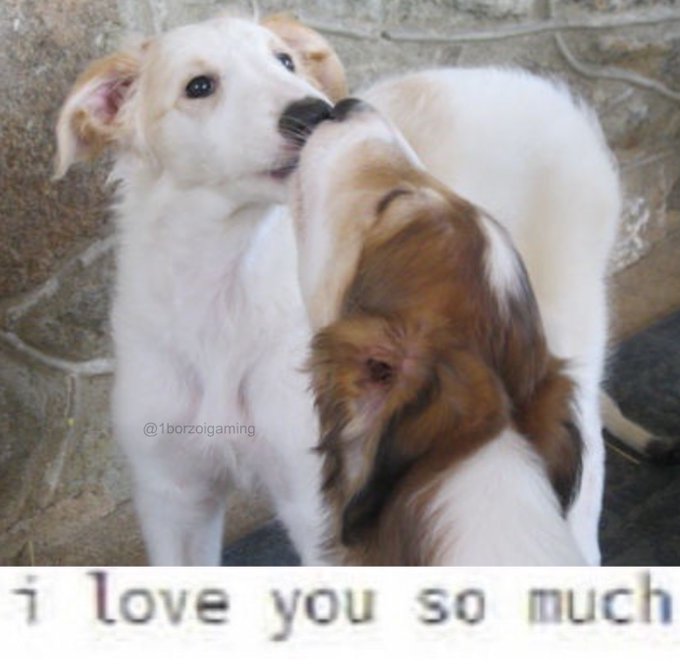 Ylang Ylang tweet media