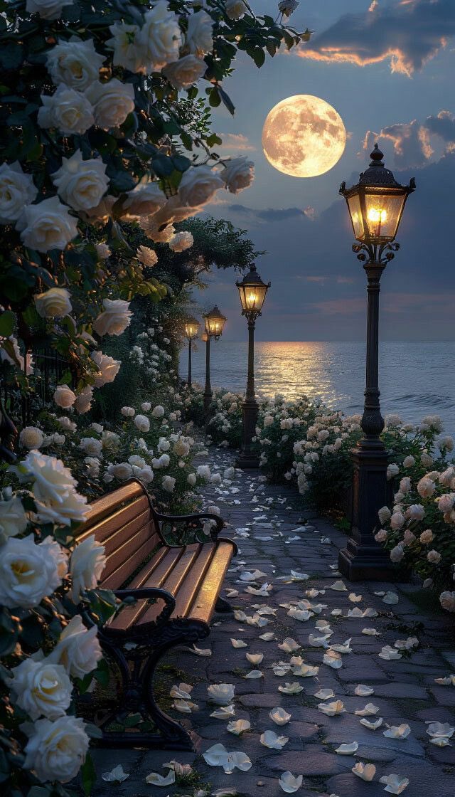 PandoraDreams22's tweet photo. The full moon hangs above the calm lake.
An empty bench rests in front of the light post.
Roses bloom thickly with beauty, pedals scattered on the walkway
The night sits still beside them
The air feels paused, as if listening.
Even the shadows sit down &amp; stay awhile.

Goodnight🌙 https://t.co/0KxZ1aFV6v